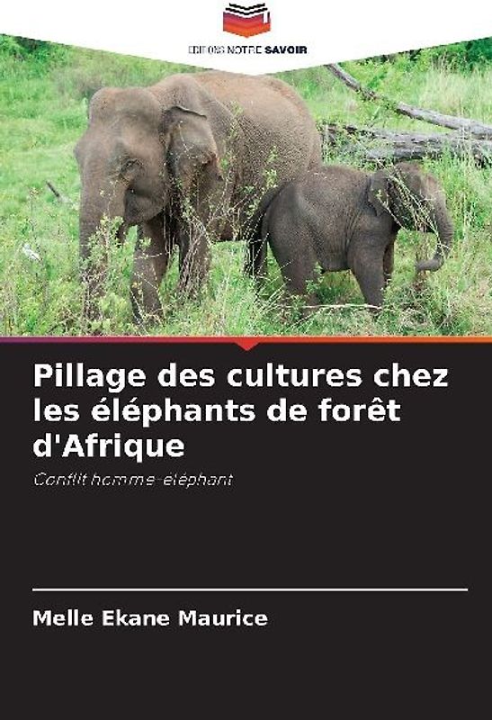 Pillage des cultures chez les éléphants de forêt d'Afrique