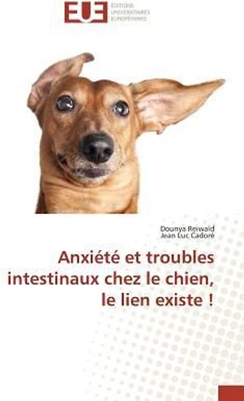 Anxiété et troubles intestinaux chez le chien, le lien existe !