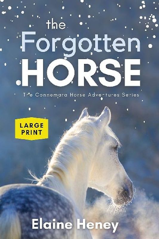 The Forgotten Horse - Book 1 in the Connemara Horse Adventure Series LARGE PRINT