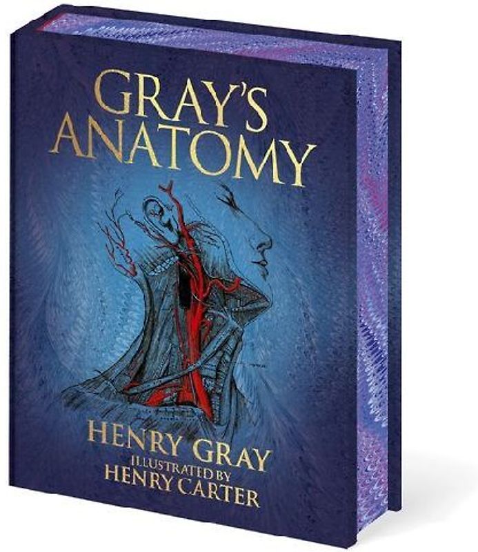 Gray's Anatomy