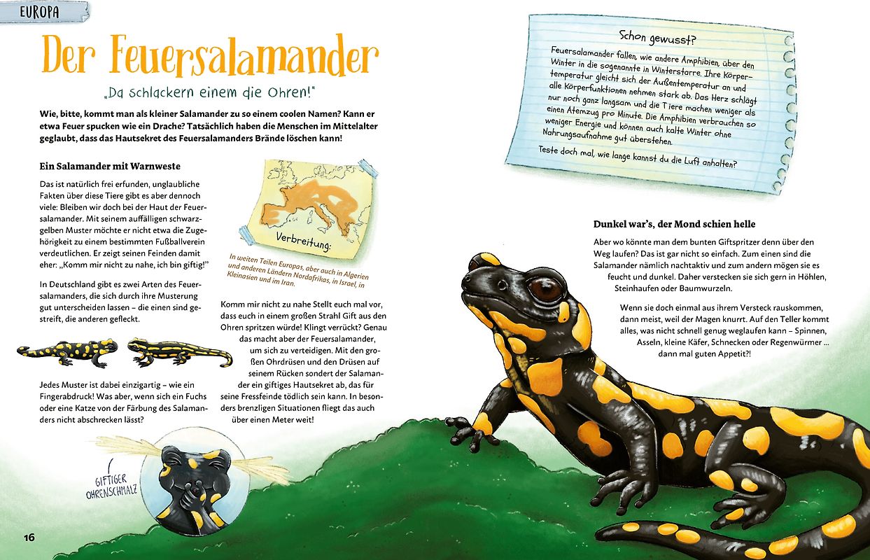 Mein Bestiarium der außergewöhnlichsten Tiere