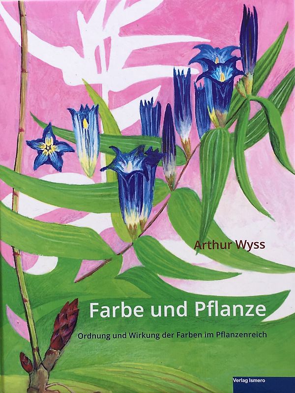 Farbe und Pflanze