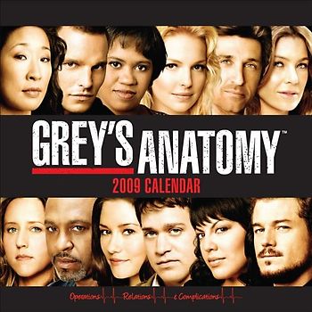 Grey's Anatomy: 2009 Calendar