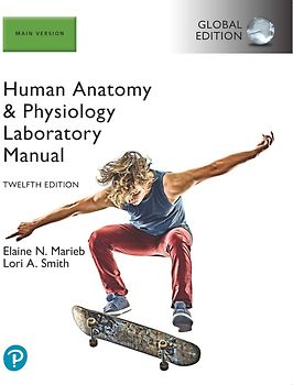 Human Anatomy & Physiology Laboratory Manual, Main Version, Global Edition