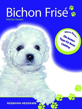 Bichon frisé