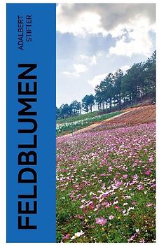 Feldblumen