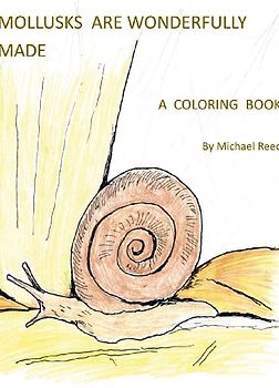 Mollusks are Wonderfully Designed