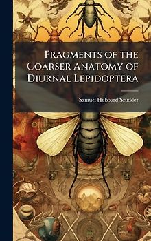 Fragments of the Coarser Anatomy of Diurnal Lepidoptera