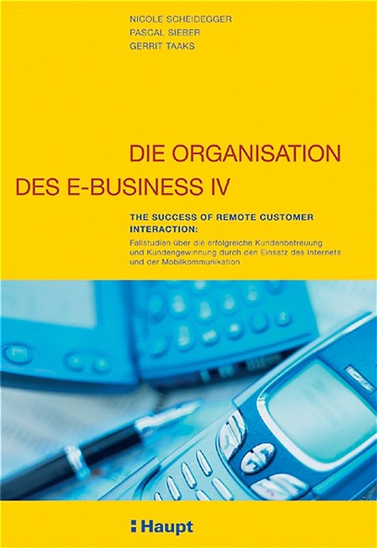 Die Organisation des E-Business IV