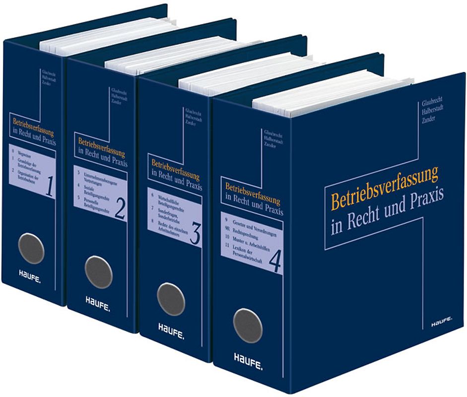 Betriebsverfassung in Recht und Praxis