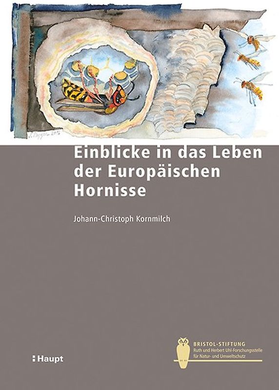 Einblicke in das Leben der Europäischen Hornisse