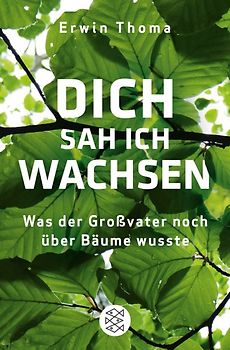 Dich sah ich wachsen