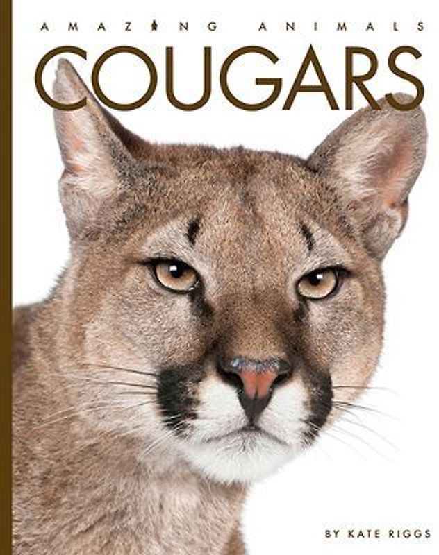 Cougars
