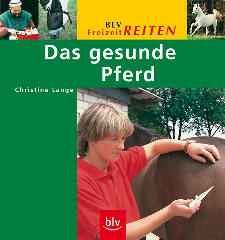 Das gesunde Pferd