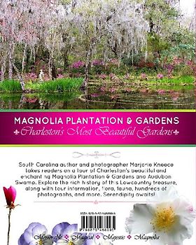 MAGNOLIA - Eden on the Ashley