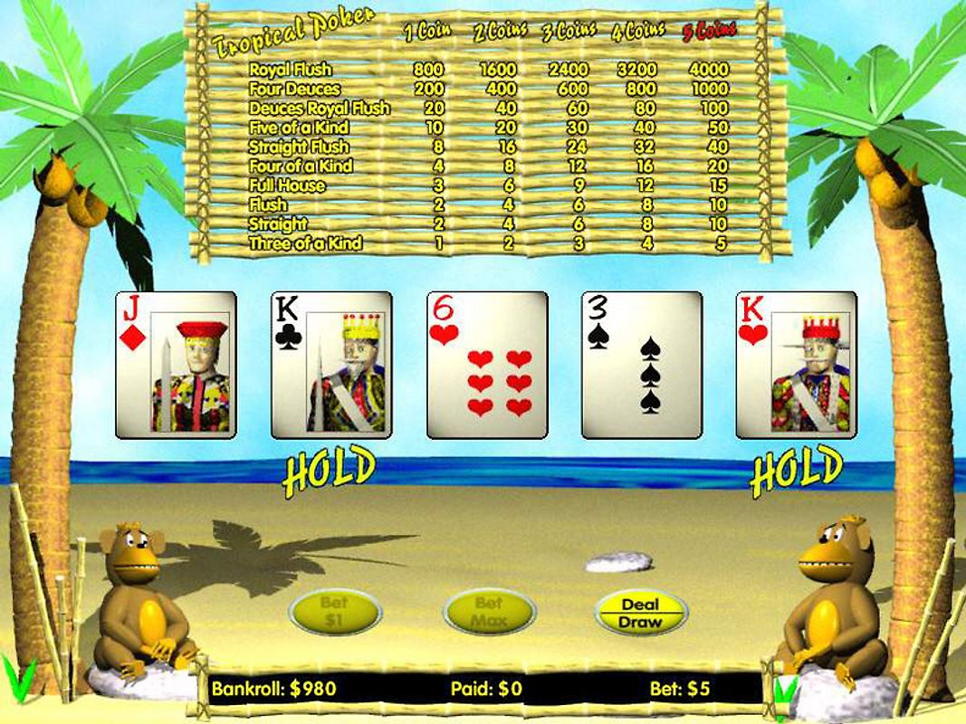 Sonder-Edition 101 PC Spiele