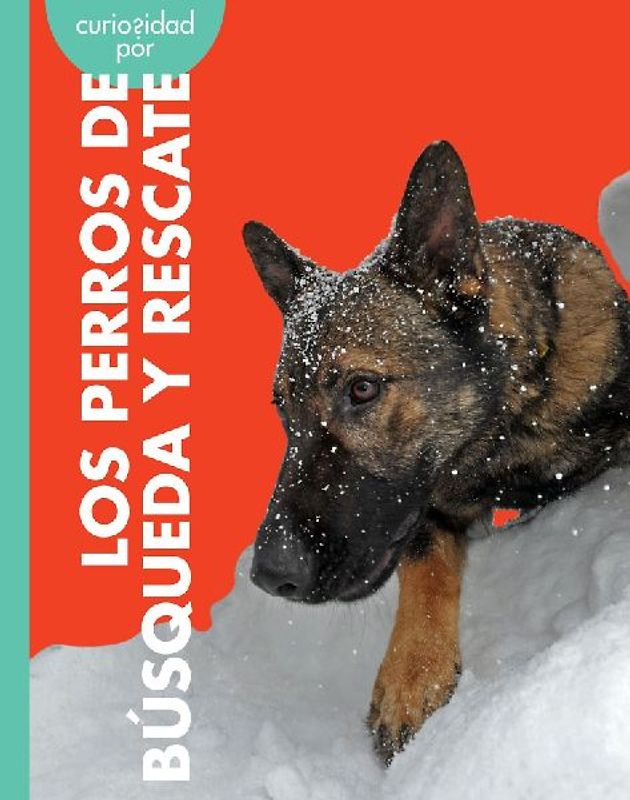 Curiosidad Por Los Perros de Búsqueda Y Rescate