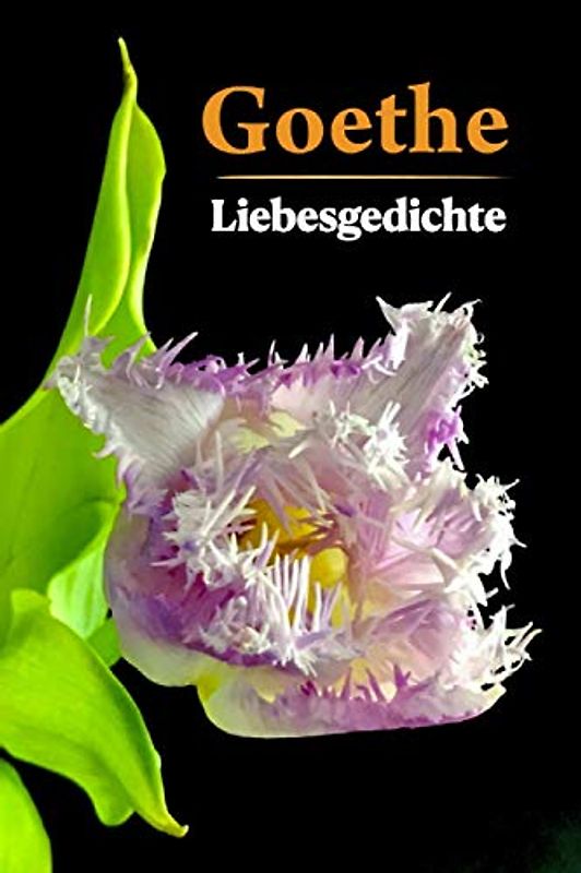Goethe. Liebesgedichte (Farbig illustriert)