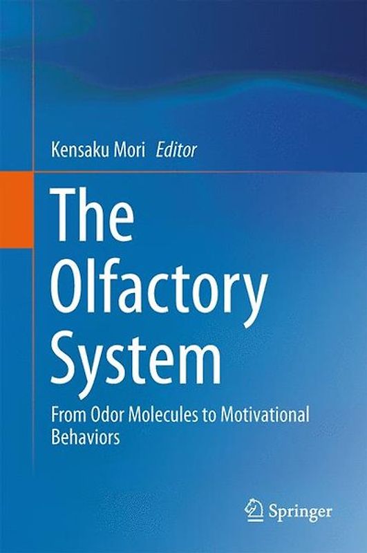 The Olfactory System