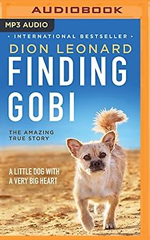 Finding Gobi: A Little Dog with a Very Big Heart