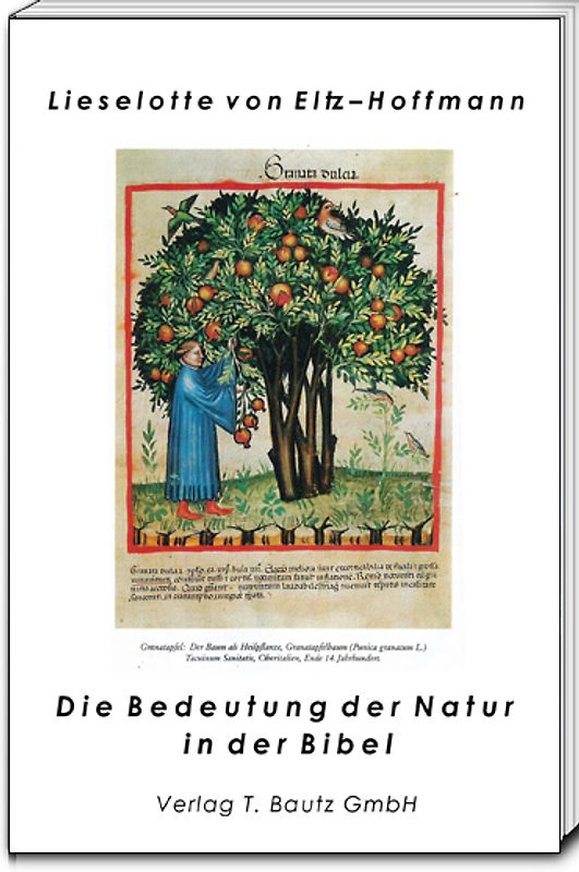 Die Bedeutung der Natur in der Bibel