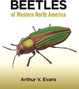 Beetles of Western North America