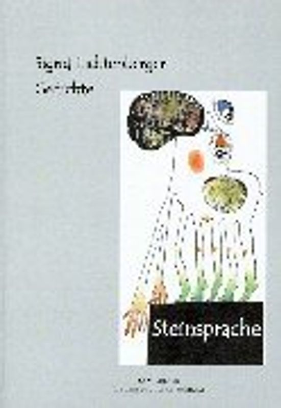 Steinsprache. Gedichte