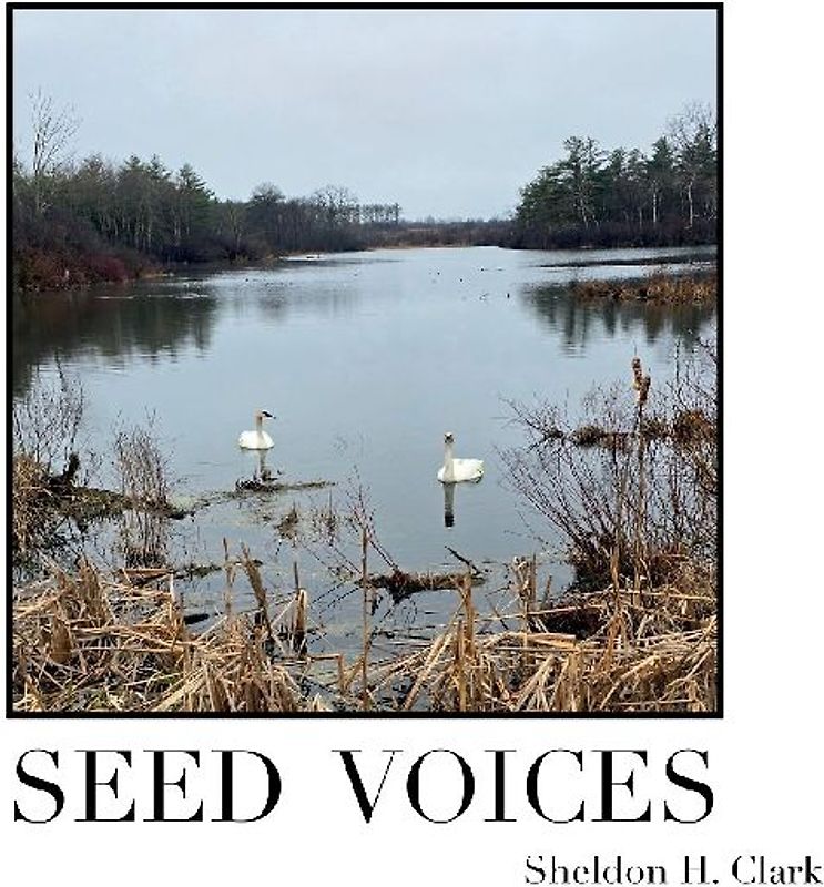 Seed Voices