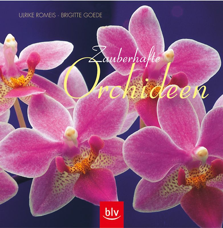Zauberhafte Orchideen