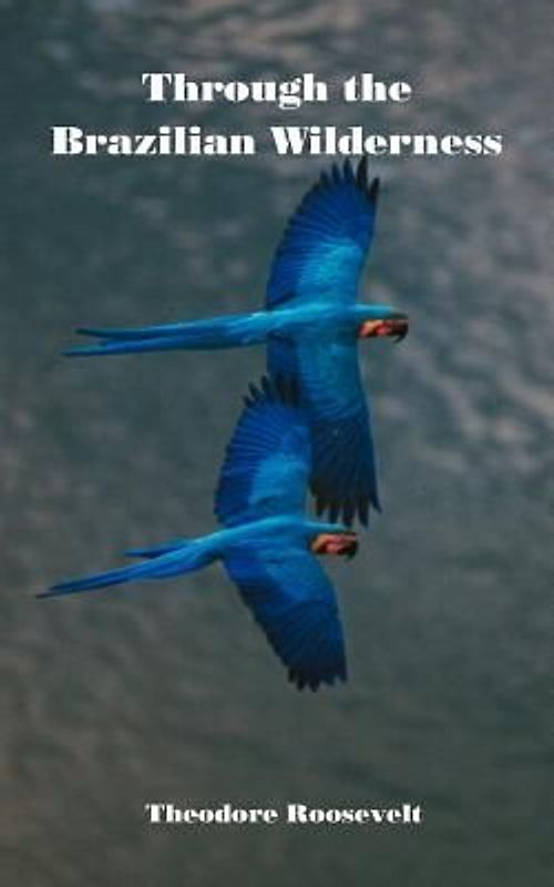 Through the Brazilian Wilderness