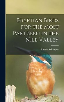 Egyptian Birds for the Most Part Seen in the Nile Valley