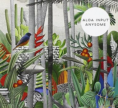 Aloa Input - Anysome