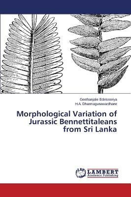 Morphological Variation of Jurassic Bennettitaleans from Sri Lanka