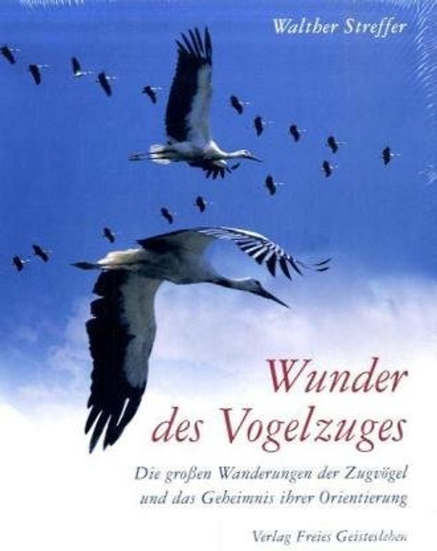 Wunder des Vogelzuges
