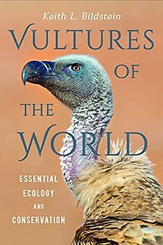 Vultures of the World: Essential Ecology and Conservation
