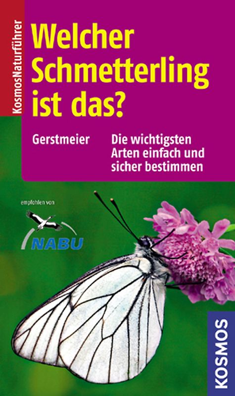 Welcher Schmetterling ist das?
