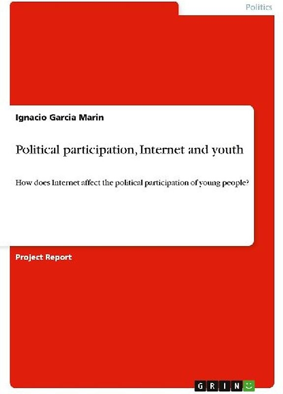 Political participation, Internet and youth