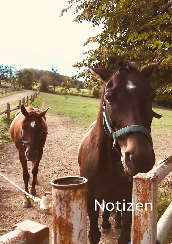 Notizen
