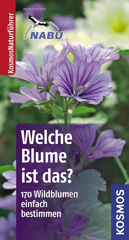 Welche Blume ist das?