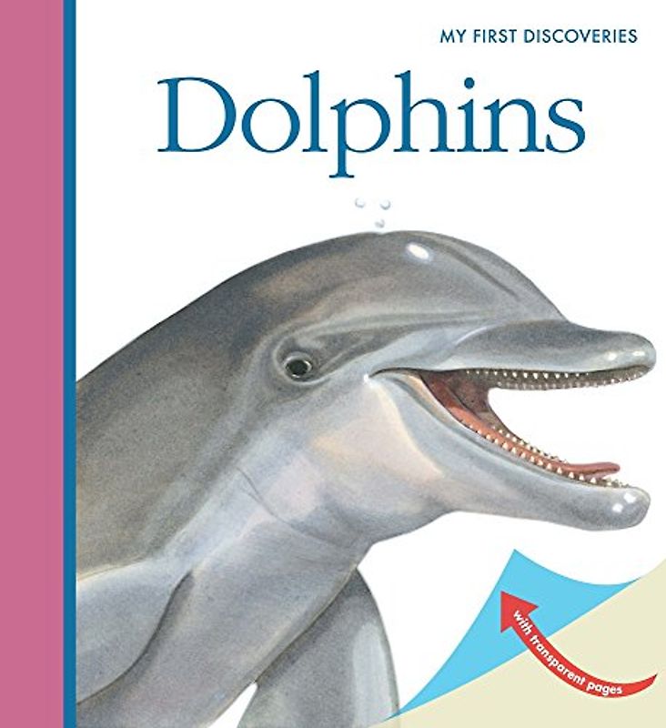 Dolphins (My First Discoveries)