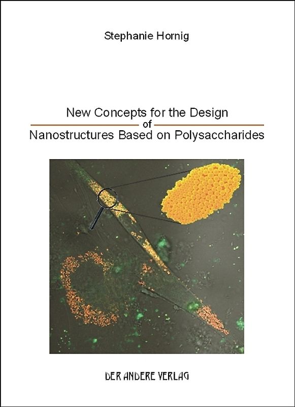 New Concepts for the Design of Nanostructures Based on Polysaccharides