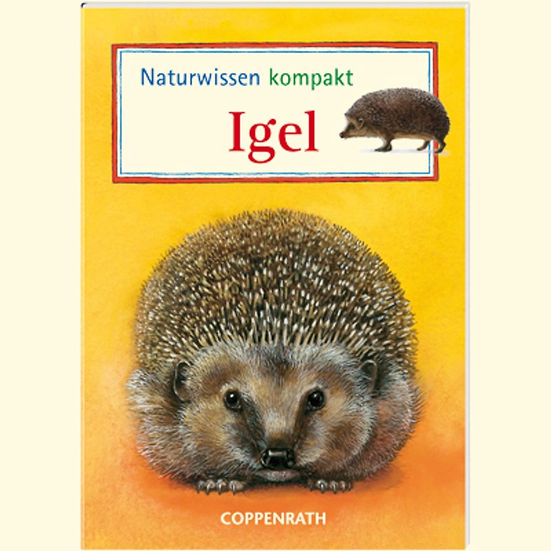 Naturwissen kompakt: Igel