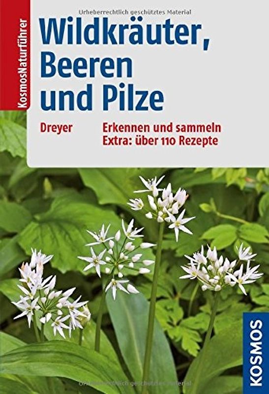 Wildkräuter, Beeren und Pilze