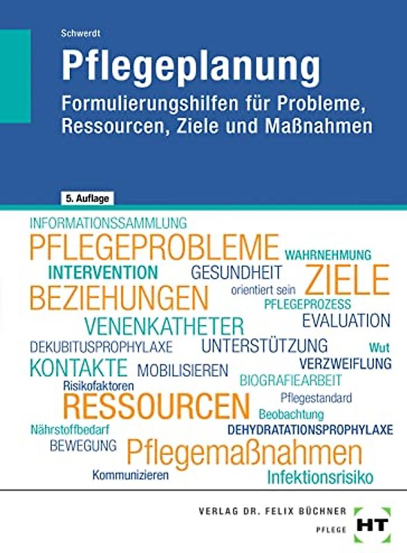 eBook inside: Buch und eBook Pflegeplanung