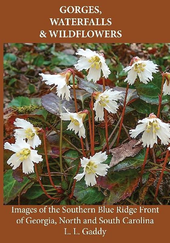 Gorges, Waterfalls, and Wildflowers
