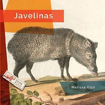 Javelinas