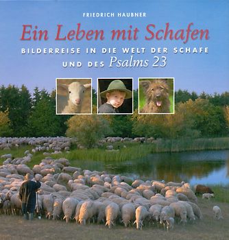 Ein Leben mit Schafen