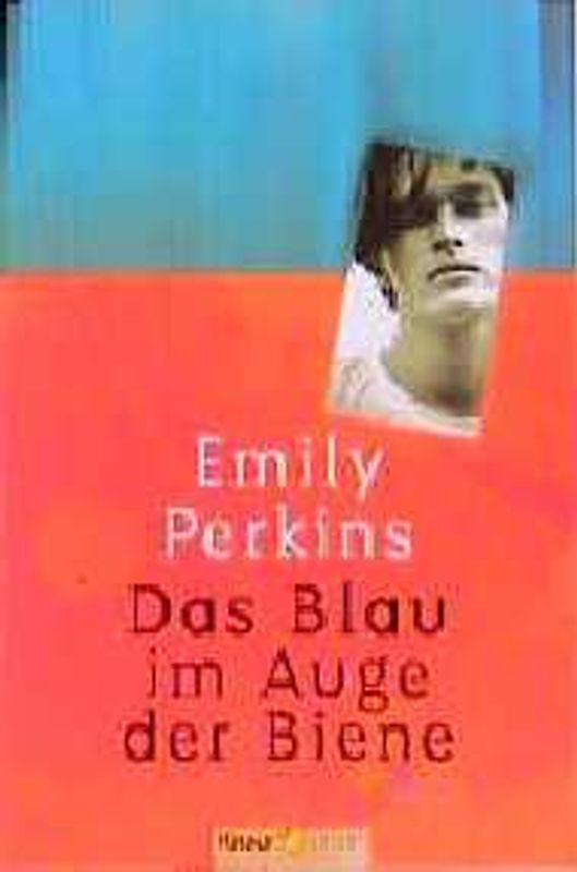 Das Blau im Auge der Biene