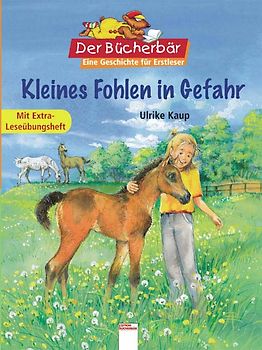 Kleines Fohlen in Gefahr