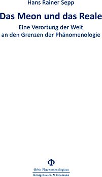 Das Meon und das Reale